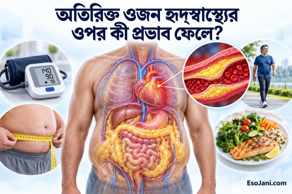 অতিরিক্ত ওজন হৃদ্‌স্বাস্থ্যের ওপর কী প্রভাব ফেলে? ঝুঁকি ও প্রতিরোধের উপায়