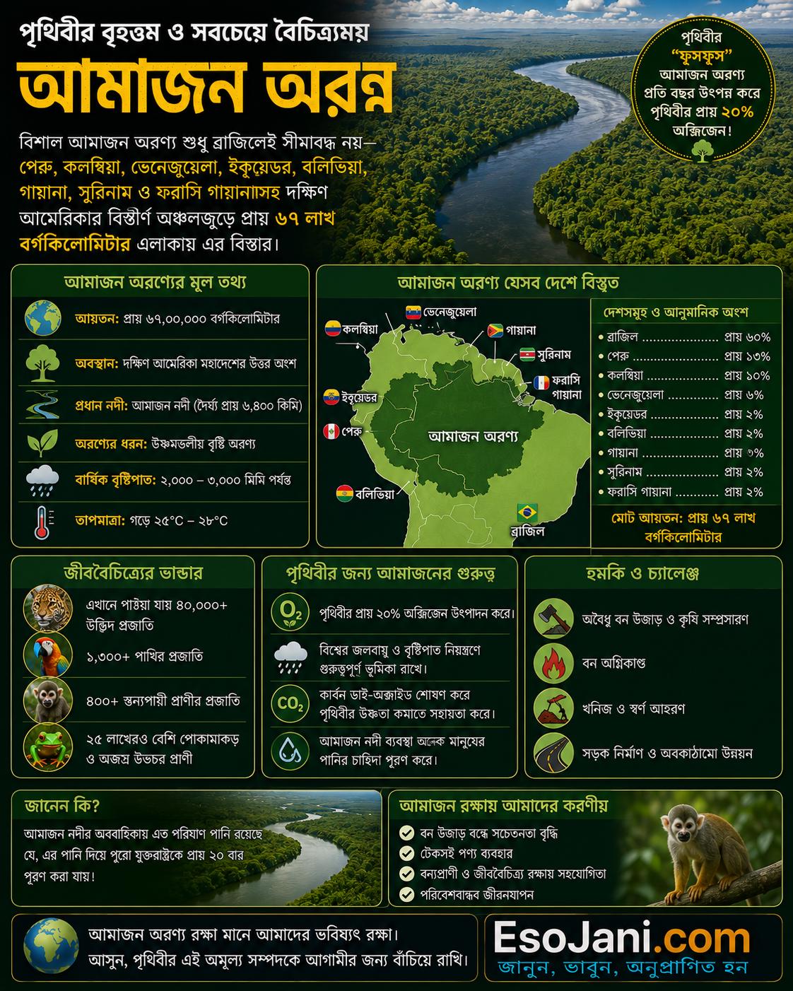 বিশাল আমাজন অরণন শুধু ব্রাজিলেই সীমাবদ্ধ নয়—পেরু, কলম্বিয়া, ভেনেজুয়েলা, ইকুয়েডর, বলিভিয়া, গায়ানা, সুরিনাম ও ফরাসি গায়ানাসহ দক্ষিণ আমেরিকার বিস্তীর্ণ অঞ্চলজুড়ে প্রায় ৬৭ লাখ বর্গকিলোমিটার এলাকায় এর বিস্তার।